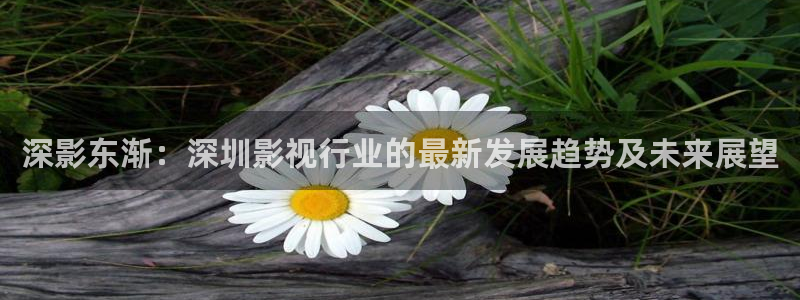 可可影视软件下载