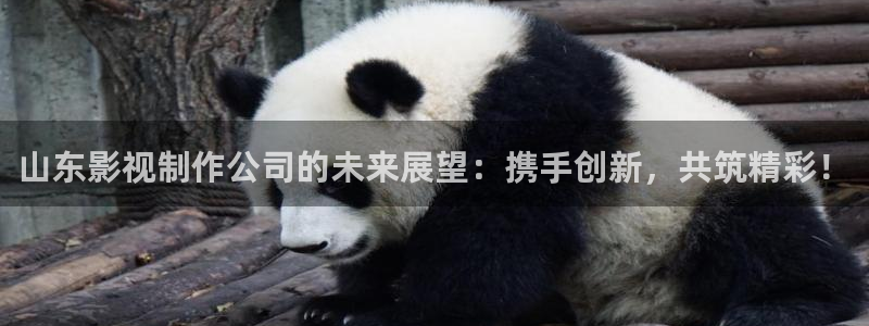 可可影视电脑版下载