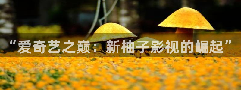 可可影视下载