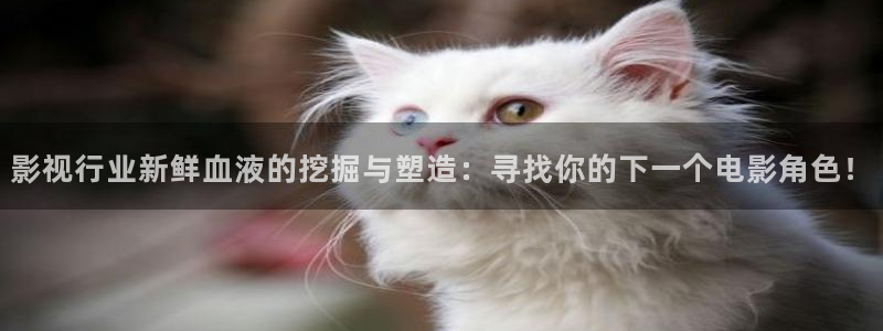 可可影视在线观看