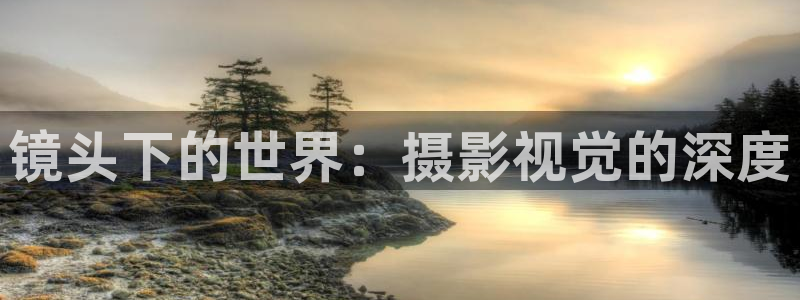 可可影视 电脑版