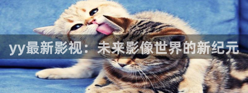 可可影视app下载安装