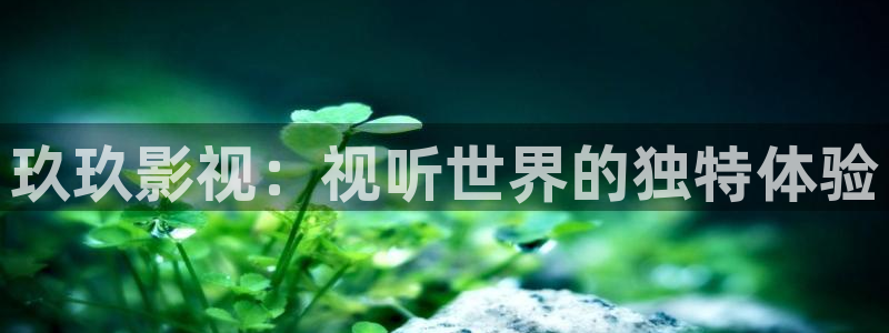 可可影视在线下载