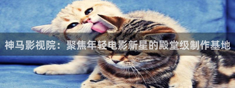 可可影音