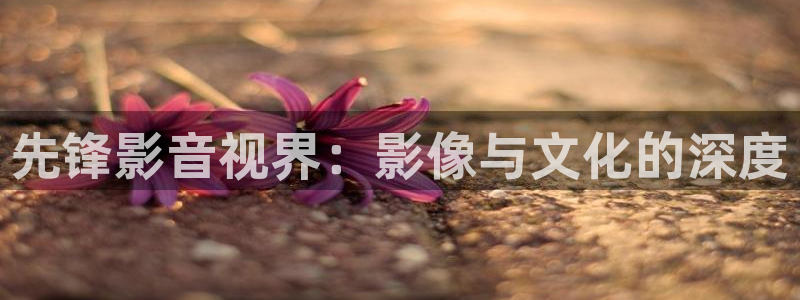 可可影视下载安装免费