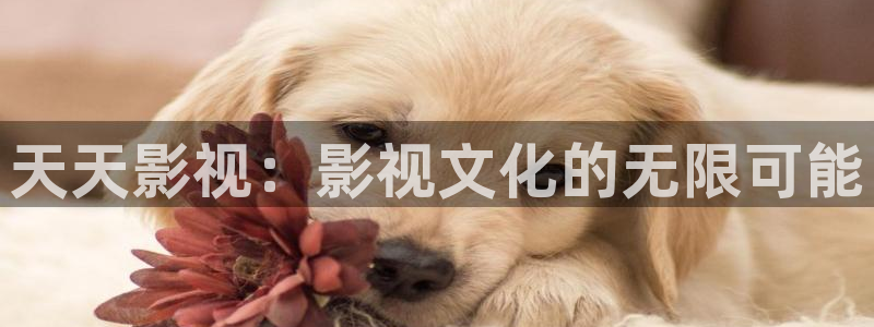可可影视网页版登录入口