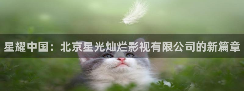 可可影视在线看